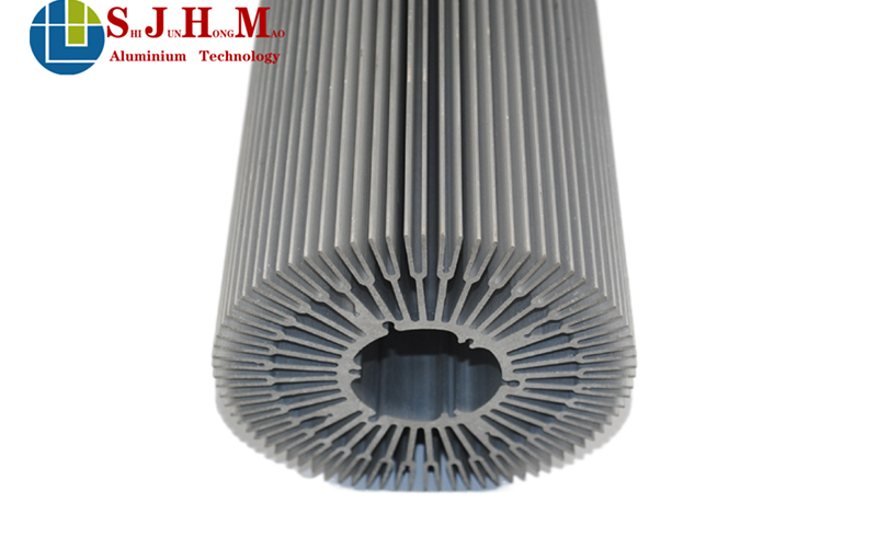 LED Downlight Sunflower Aluminum Alloy Radiator