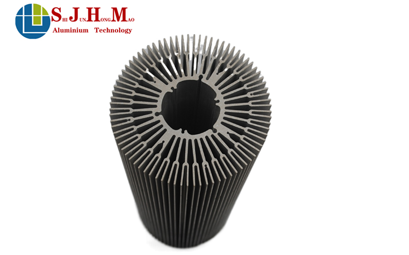 LED Downlight Sunflower Aluminum Alloy Radiator