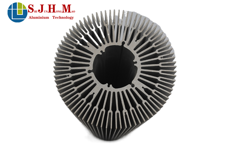 LED Downlight Sunflower Aluminum Alloy Radiator