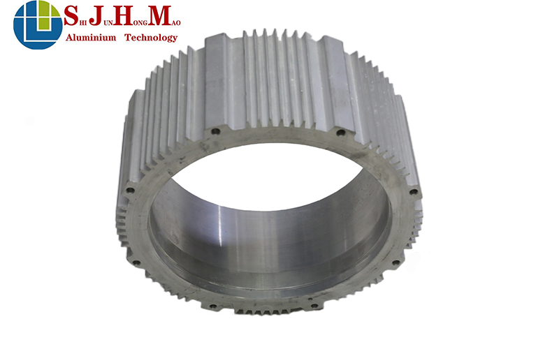 Electric Vehicle Aluminum Motor Housing