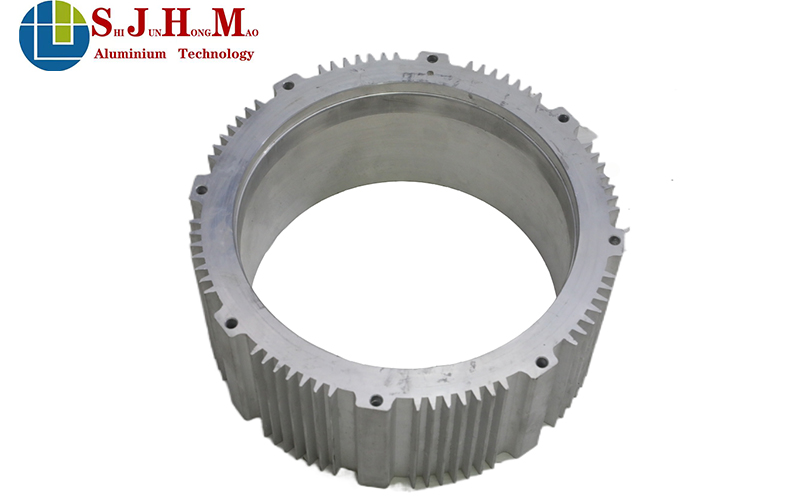 Electric Vehicle Aluminum Motor Housing