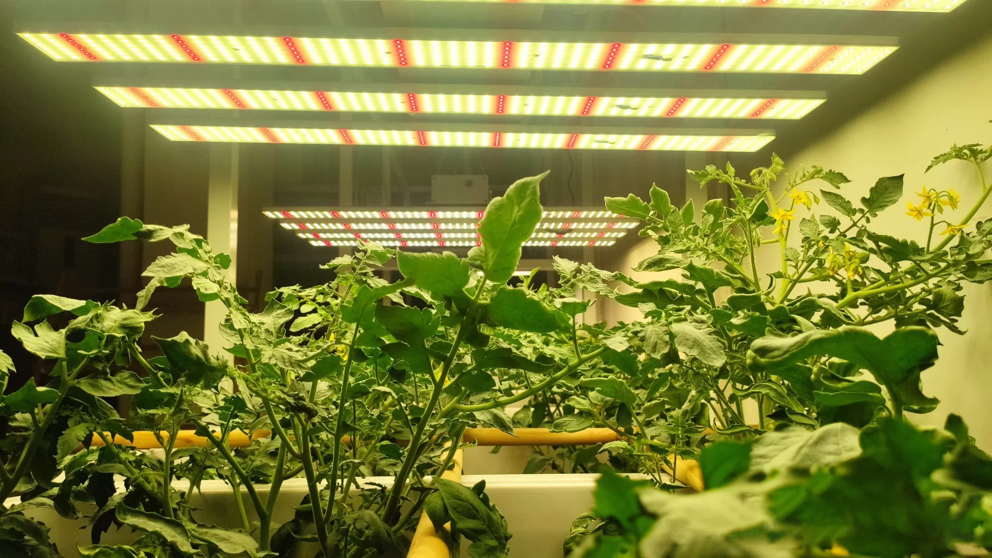 Full Spectrum LED Plant Light Aluminum Frame for Indoor Plants